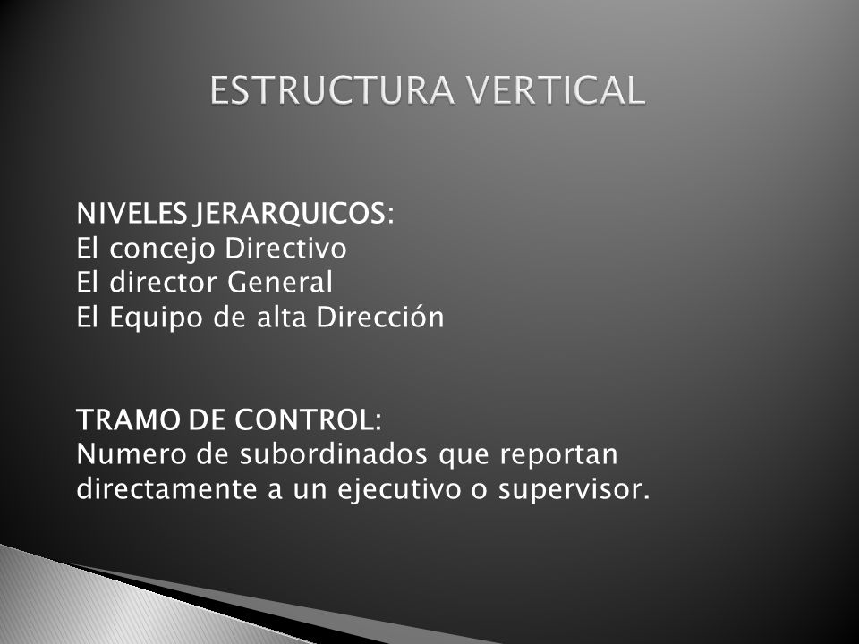ESTRUCTURA VERTICAL NIVELES JERARQUICOS: El concejo Directivo