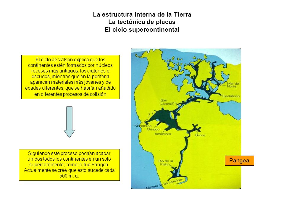 La estructura interna de la Tierra La tectónica de placas El ciclo supercontinental