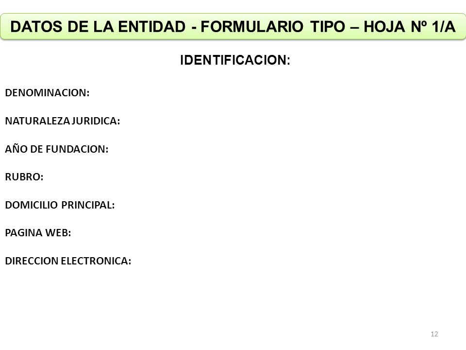 DATOS DE LA ENTIDAD - FORMULARIO TIPO – HOJA Nº 1/A