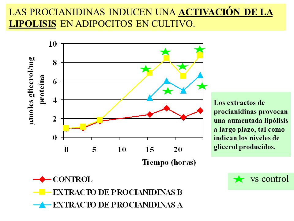 LAS PROCIANIDINAS INDUCEN UNA ACTIVACIÓN DE LA LIPOLISIS EN ADIPOCITOS EN CULTIVO.