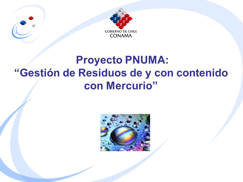 Proyecto PNUMA: Gestión de Residuos de y con contenido con Mercurio