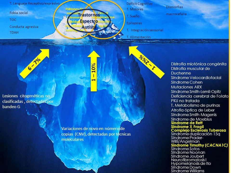 Deficit comunicación e interacción social Trastornos Espectro Autista