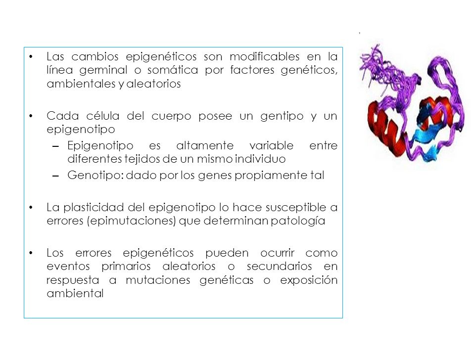 Las cambios epigenéticos son modificables en la línea germinal o somática por factores genéticos, ambientales y aleatorios