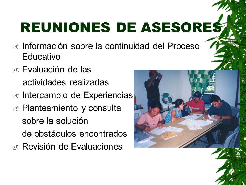 REUNIONES DE ASESORES Información sobre la continuidad del Proceso Educativo. Evaluación de las. actividades realizadas.
