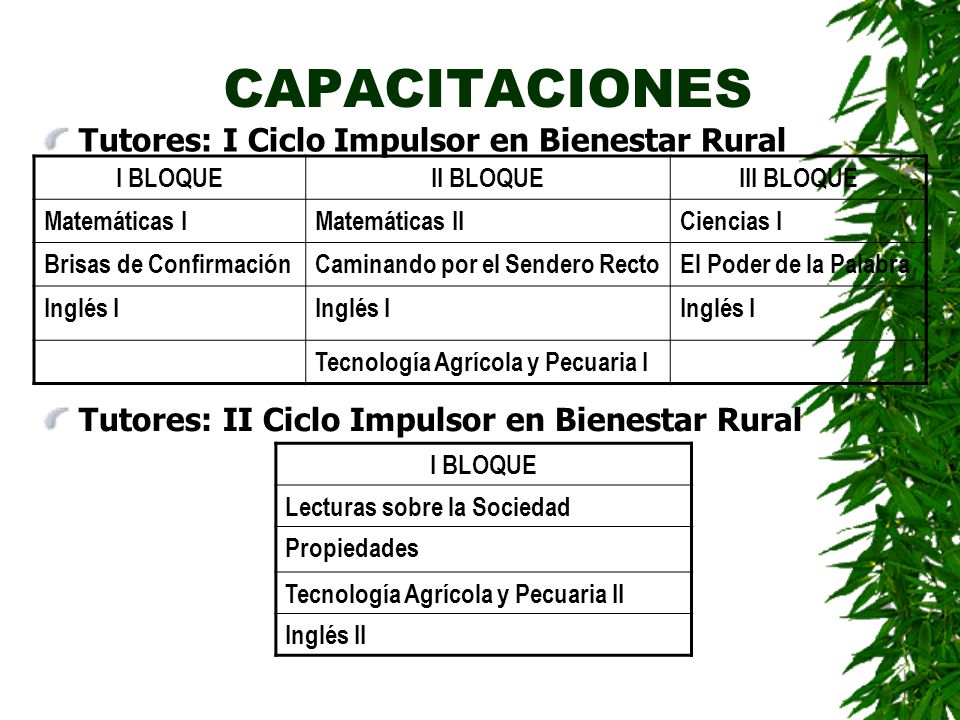 CAPACITACIONES Tutores: I Ciclo Impulsor en Bienestar Rural