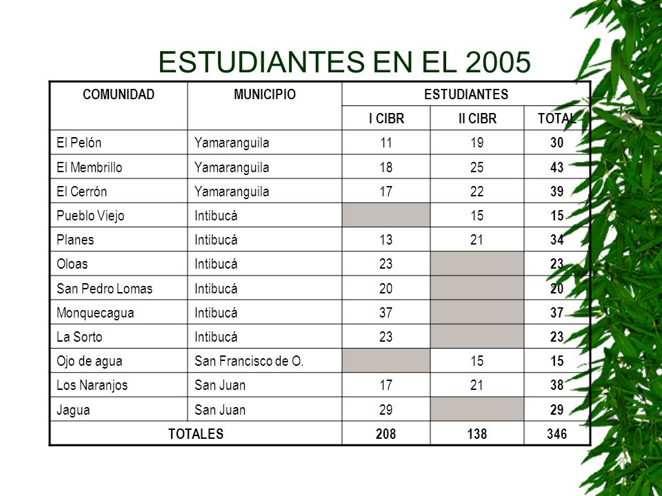 ESTUDIANTES EN EL 2005 COMUNIDAD MUNICIPIO ESTUDIANTES I CIBR II CIBR
