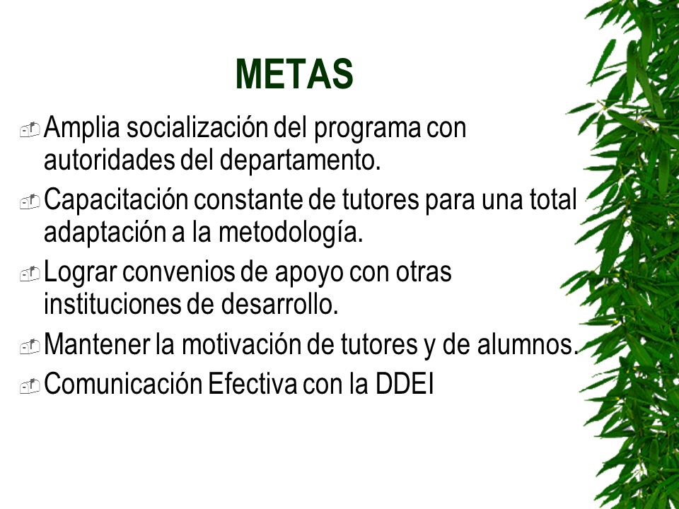 METAS Amplia socialización del programa con autoridades del departamento.