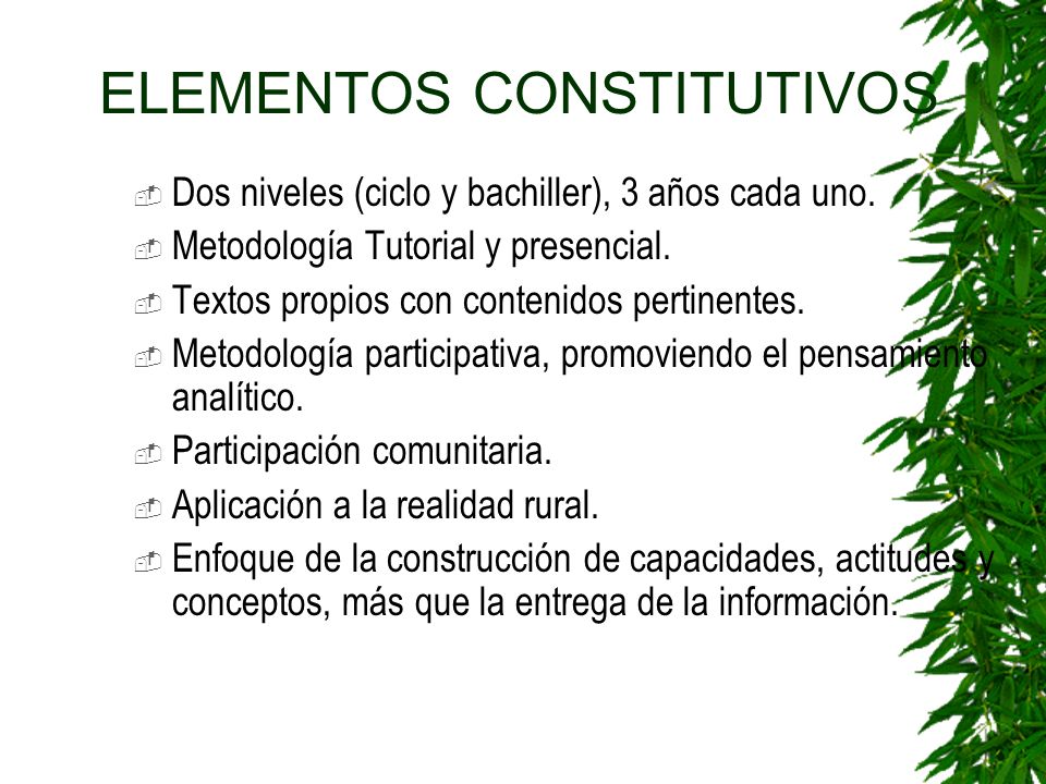ELEMENTOS CONSTITUTIVOS