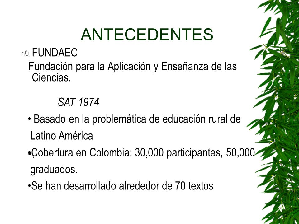 ANTECEDENTES FUNDAEC. Fundación para la Aplicación y Enseñanza de las Ciencias. SAT Basado en la problemática de educación rural de.