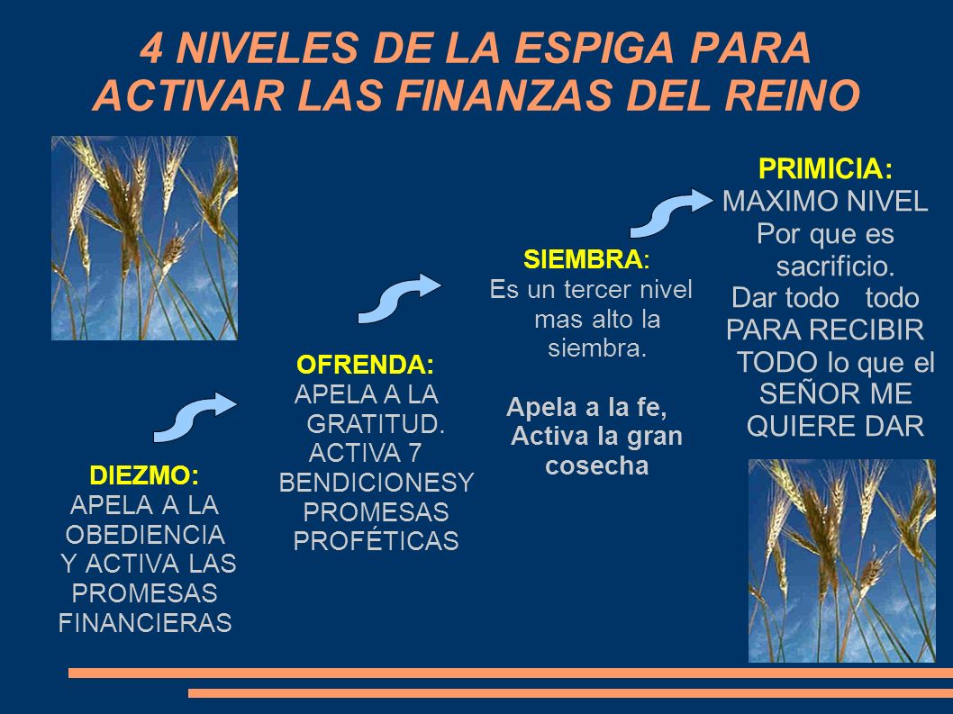 4 NIVELES DE LA ESPIGA PARA ACTIVAR LAS FINANZAS DEL REINO