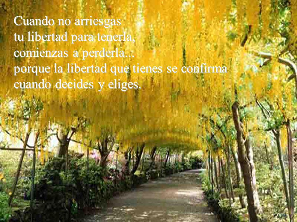 Cuando no arriesgas tu libertad para tenerla, comienzas a perderla