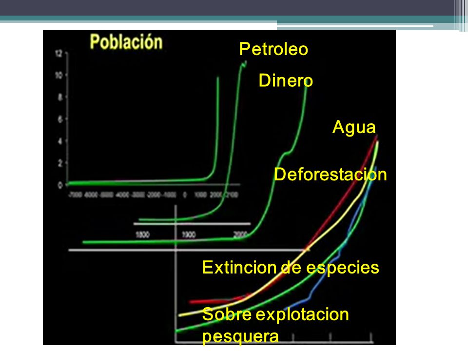 Petroleo Dinero Agua Deforestacion Extincion de especies Sobre explotacion pesquera