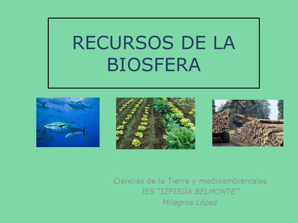 RECURSOS DE LA BIOSFERA