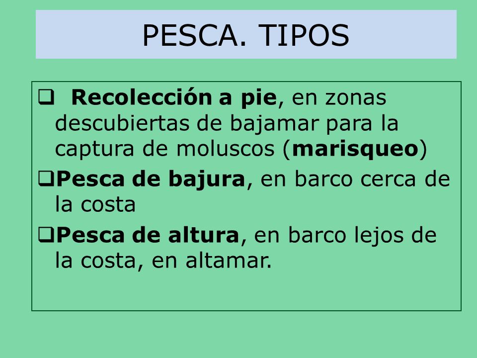PESCA. TIPOS Recolección a pie, en zonas descubiertas de bajamar para la captura de moluscos (marisqueo)