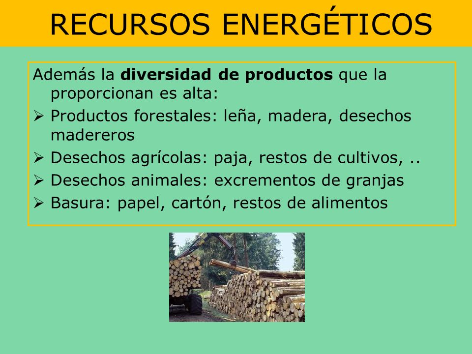 RECURSOS ENERGÉTICOS Además la diversidad de productos que la proporcionan es alta: Productos forestales: leña, madera, desechos madereros.