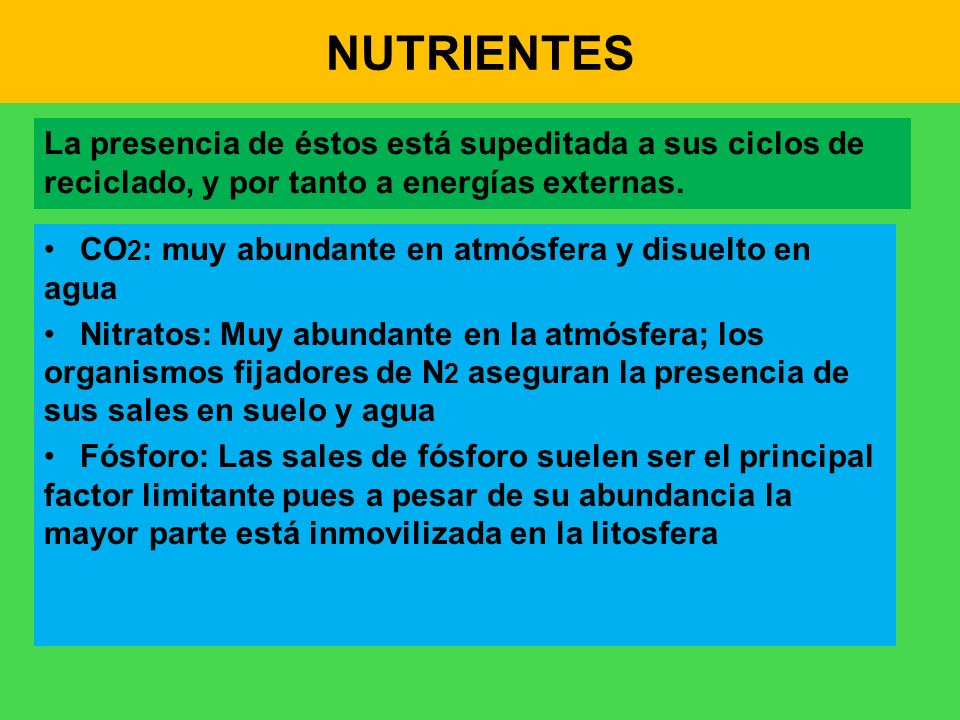NUTRIENTES La presencia de éstos está supeditada a sus ciclos de reciclado, y por tanto a energías externas.