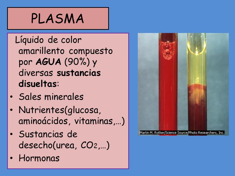 PLASMA Líquido de color amarillento compuesto por AGUA (90%) y diversas sustancias disueltas: Sales minerales.
