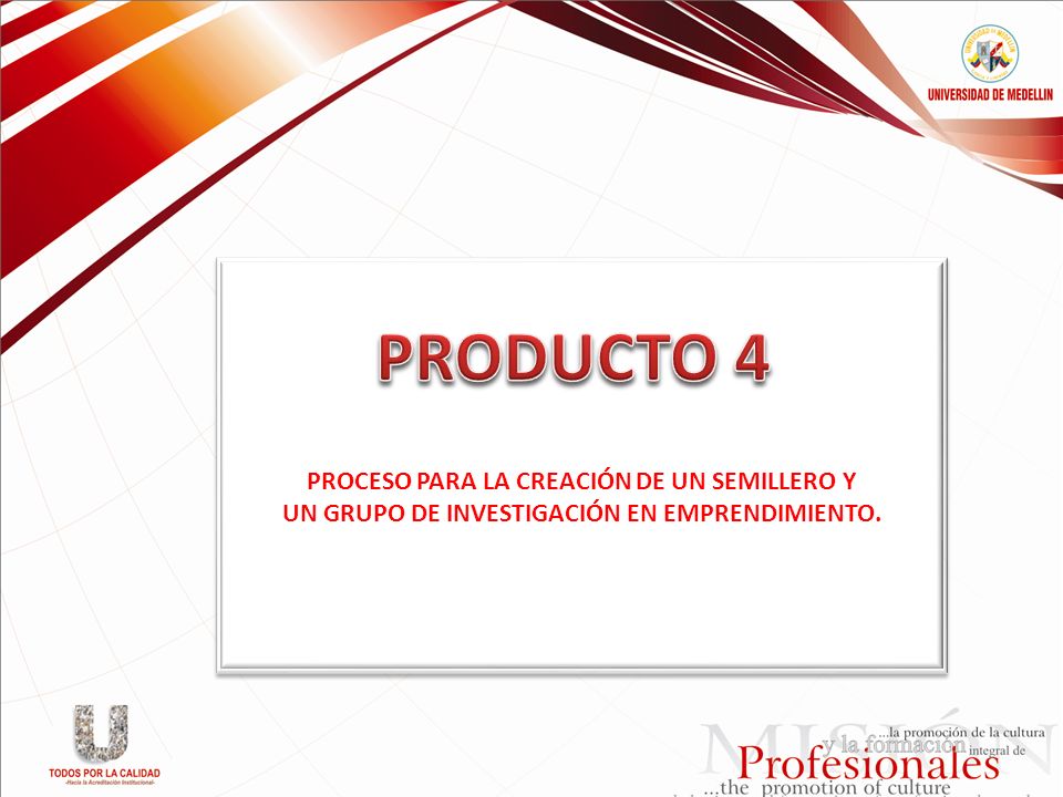 PRODUCTO 4 PROCESO PARA LA CREACIÓN DE UN SEMILLERO Y