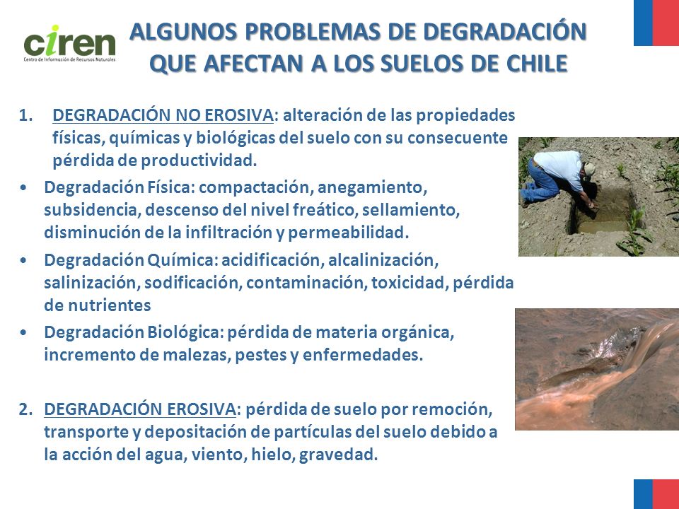 ALGUNOS PROBLEMAS DE DEGRADACIÓN QUE AFECTAN A LOS SUELOS DE CHILE