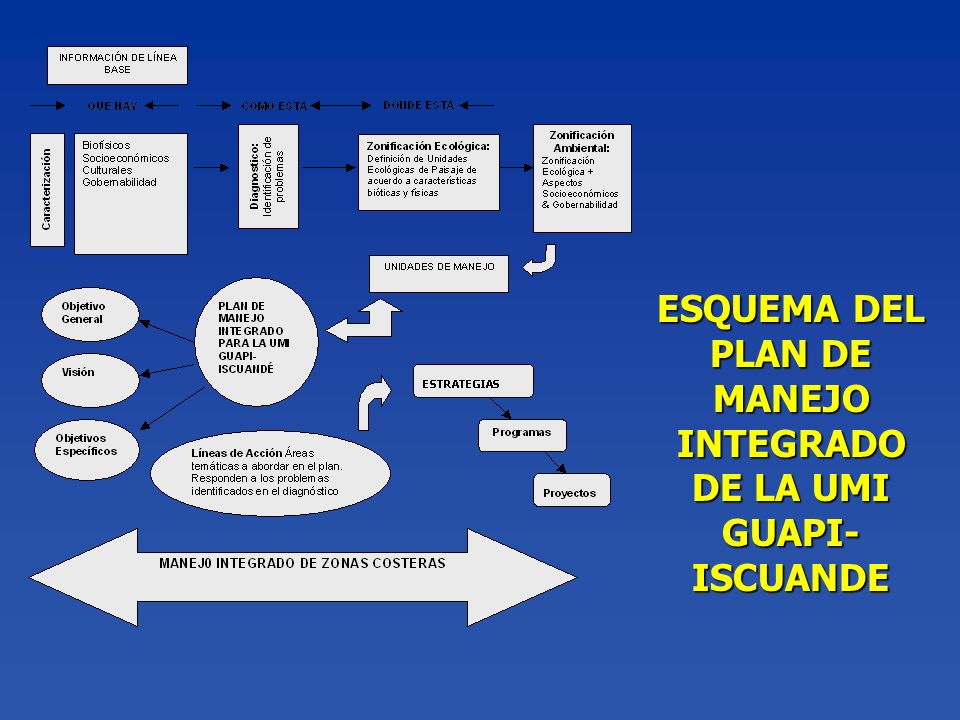 ESQUEMA DEL PLAN DE MANEJO INTEGRADO DE LA UMI GUAPI-ISCUANDE