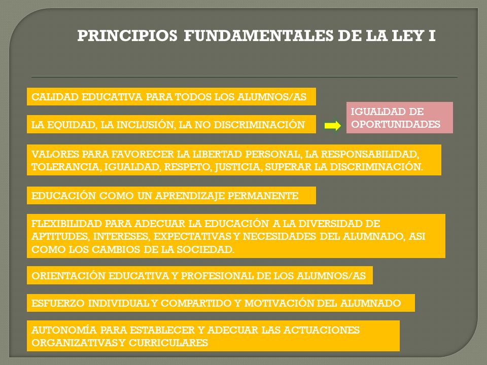 PRINCIPIOS FUNDAMENTALES DE LA LEY I