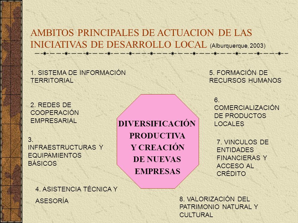 AMBITOS PRINCIPALES DE ACTUACION DE LAS INICIATIVAS DE DESARROLLO LOCAL (Alburquerque, 2003)