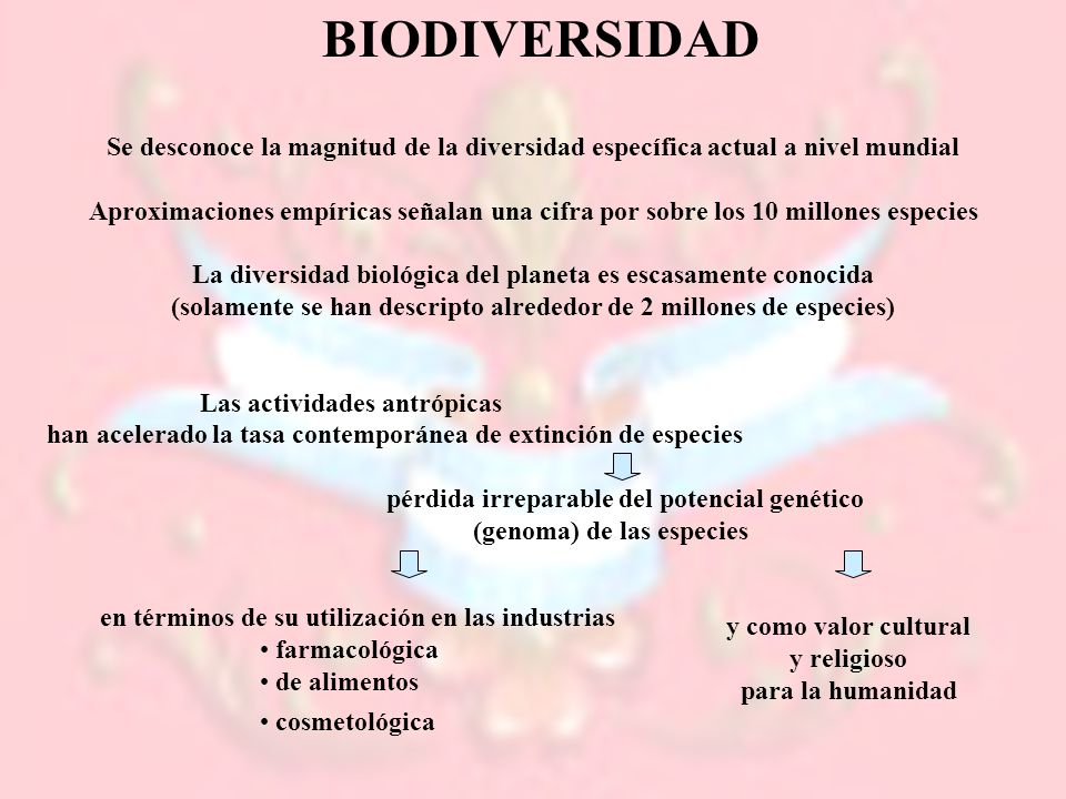 BIODIVERSIDAD Se desconoce la magnitud de la diversidad específica actual a nivel mundial.