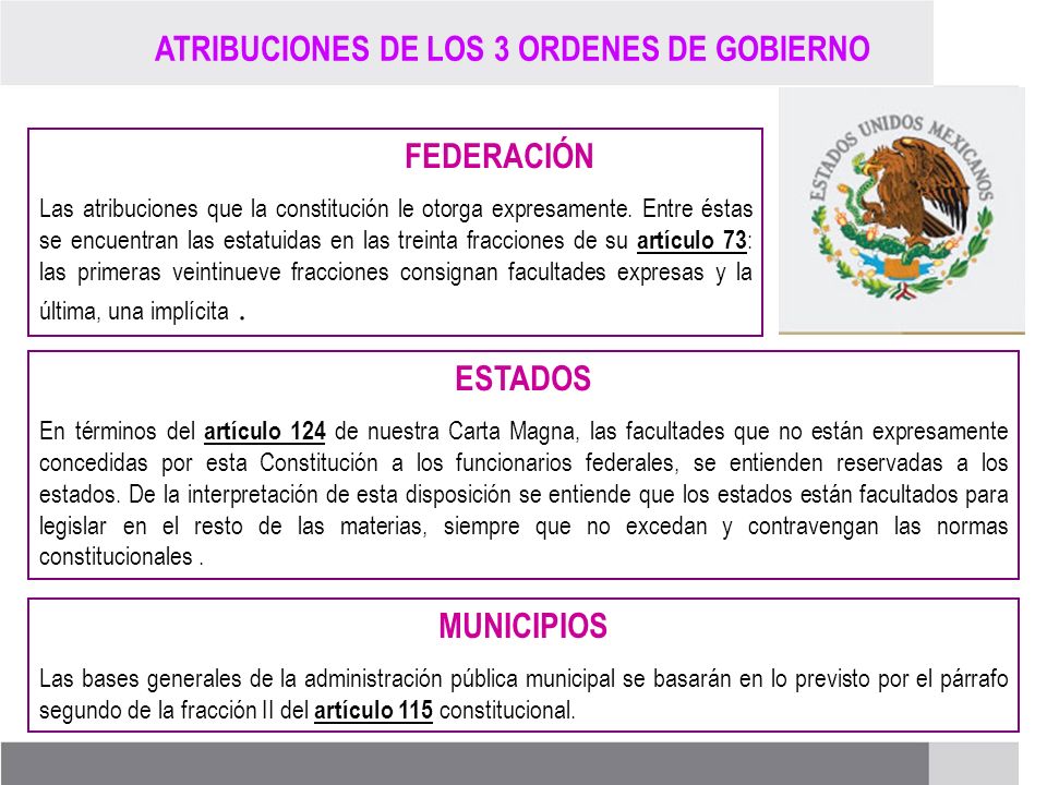 FEDERACIÓN ESTADOS MUNICIPIOS