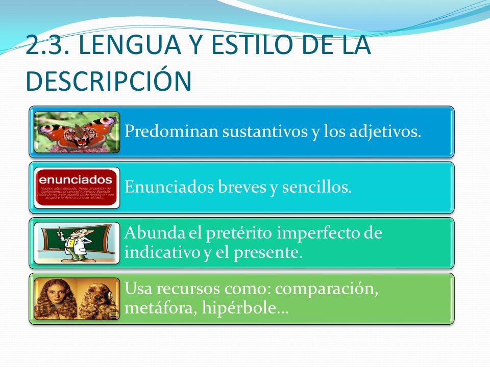 2.3. LENGUA Y ESTILO DE LA DESCRIPCIÓN