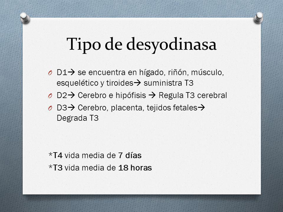 Tipo de desyodinasa D1 se encuentra en hígado, riñón, músculo, esquelético y tiroides suministra T3.