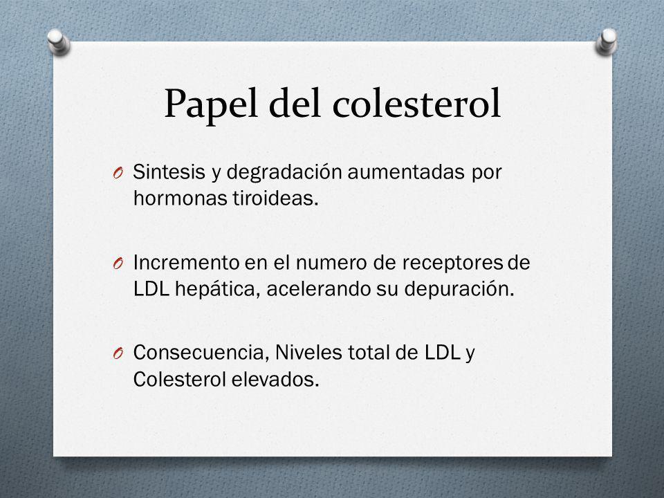 Papel del colesterol Sintesis y degradación aumentadas por hormonas tiroideas.