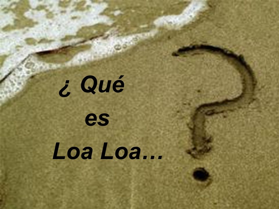¿Qué es LOA LOA … ¿ Qué es Loa Loa…