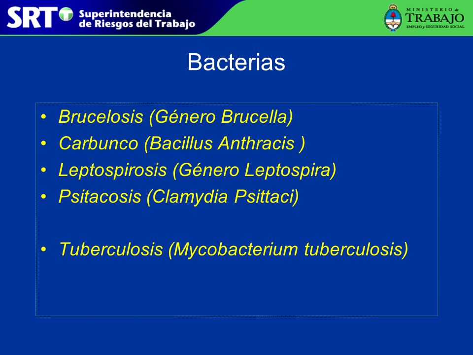 Bacterias Brucelosis (Género Brucella) Carbunco (Bacillus Anthracis )