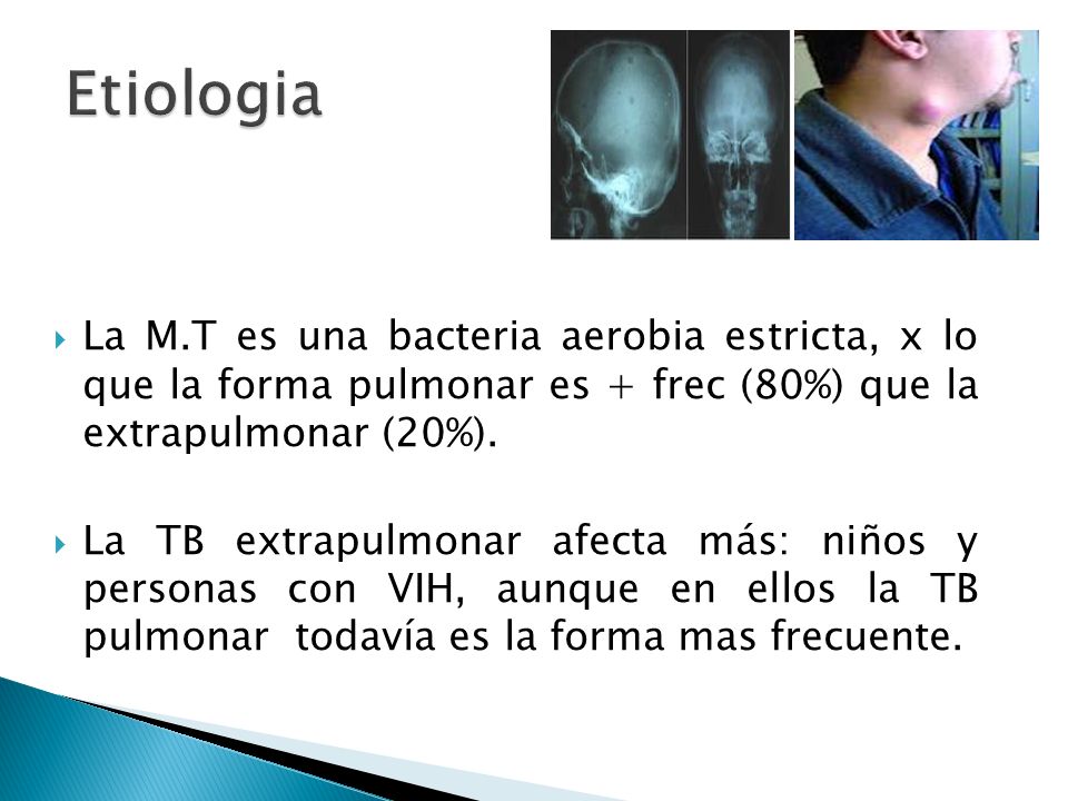Etiologia La M.T es una bacteria aerobia estricta, x lo que la forma pulmonar es + frec (80%) que la extrapulmonar (20%).