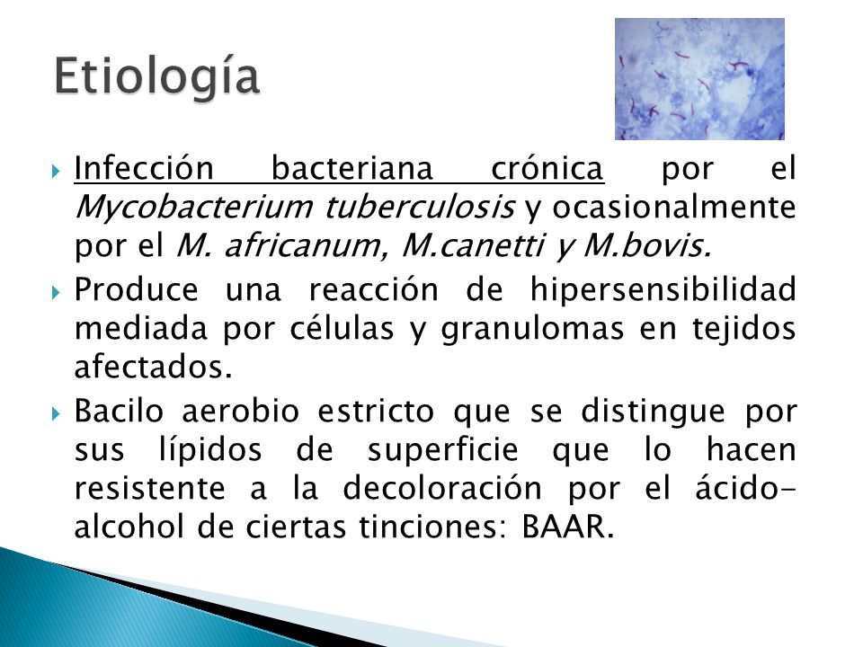 Etiología Infección bacteriana crónica por el Mycobacterium tuberculosis y ocasionalmente por el M. africanum, M.canetti y M.bovis.