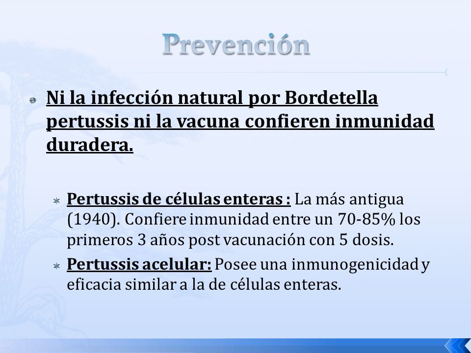 Prevención Ni la infección natural por Bordetella pertussis ni la vacuna confieren inmunidad duradera.