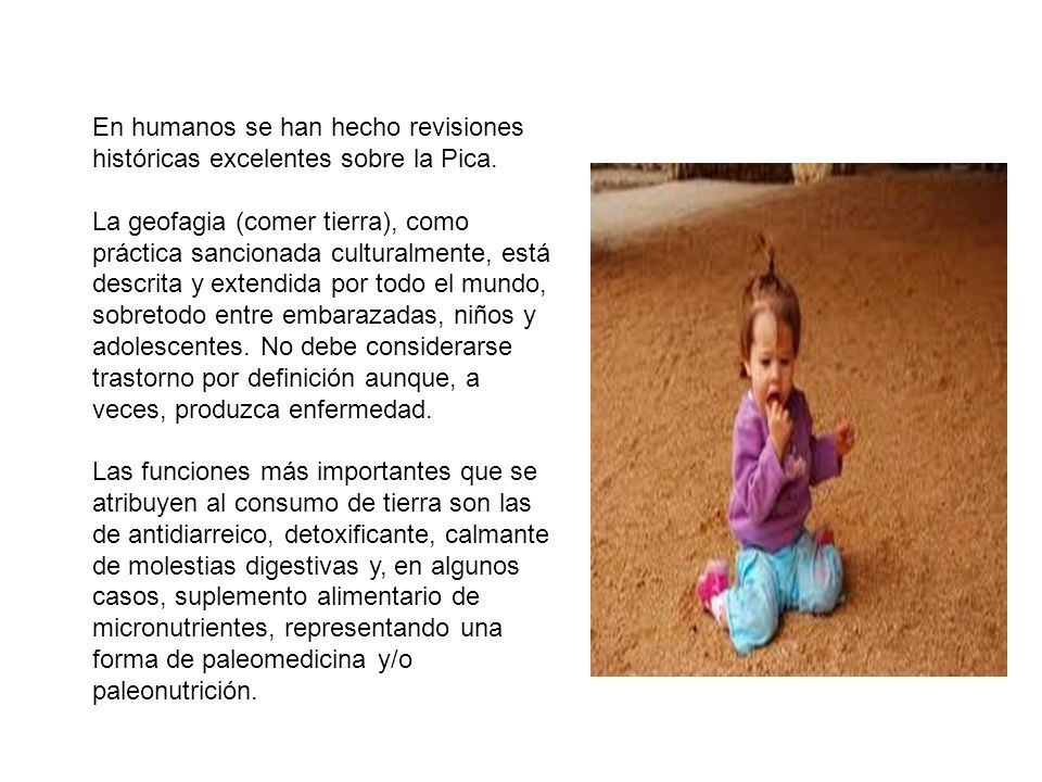 En humanos se han hecho revisiones históricas excelentes sobre la Pica.