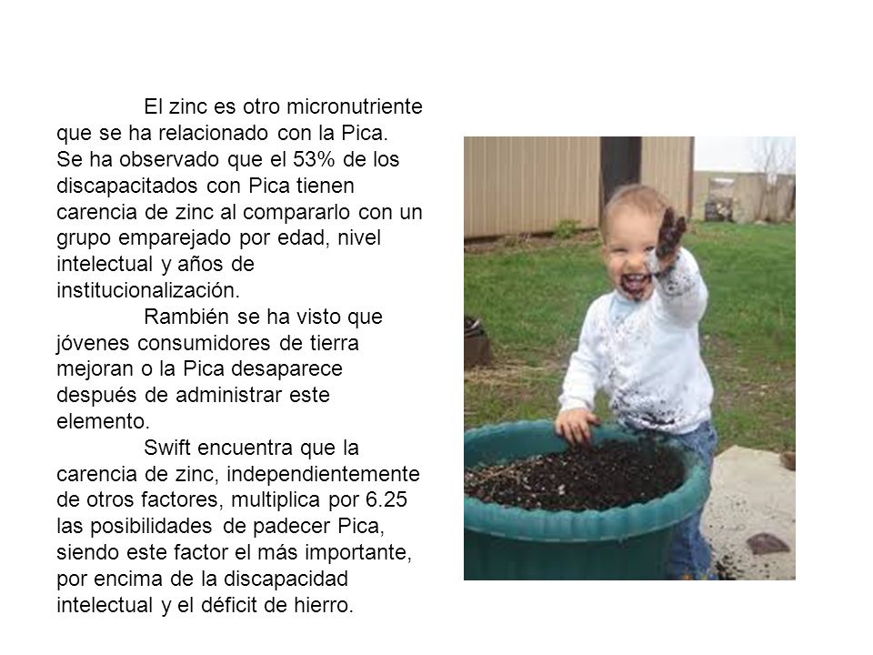 El zinc es otro micronutriente que se ha relacionado con la Pica