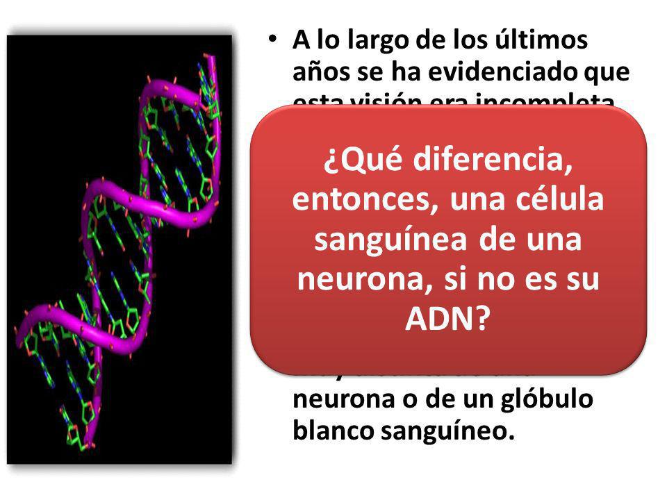 A lo largo de los últimos años se ha evidenciado que esta visión era incompleta.