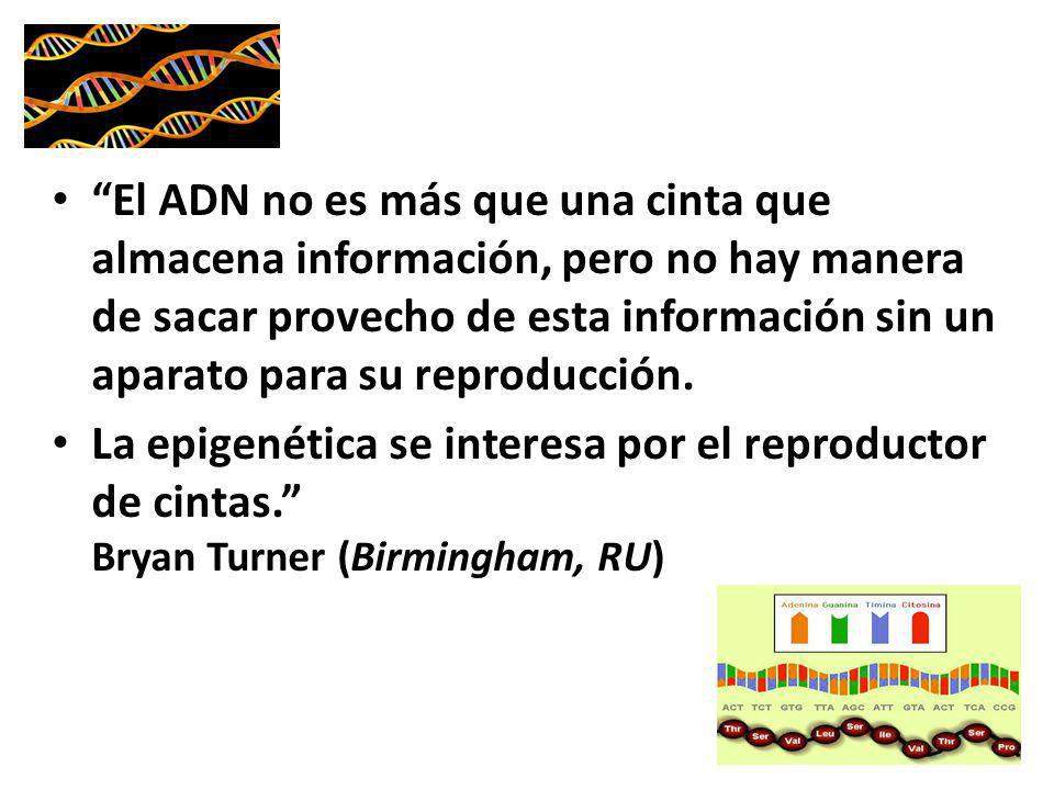 El ADN no es más que una cinta que almacena información, pero no hay manera de sacar provecho de esta información sin un aparato para su reproducción.