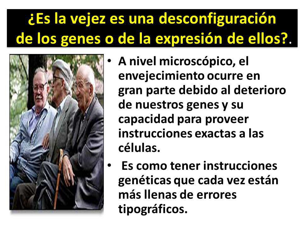 ¿Es la vejez es una desconfiguración de los genes o de la expresión de ellos .