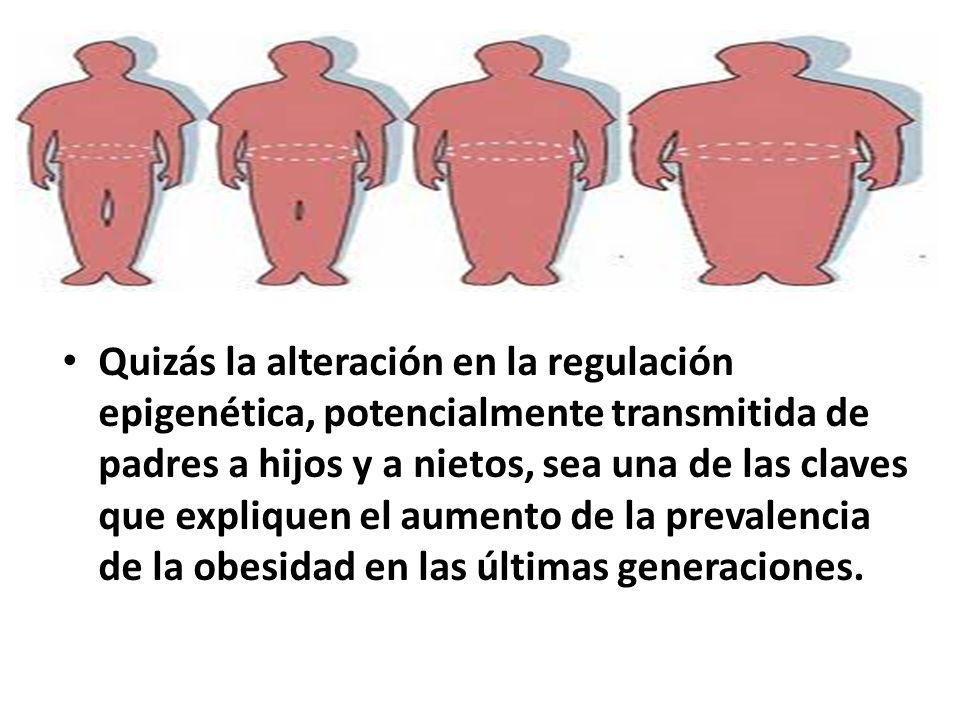Quizás la alteración en la regulación epigenética, potencialmente transmitida de padres a hijos y a nietos, sea una de las claves que expliquen el aumento de la prevalencia de la obesidad en las últimas generaciones.