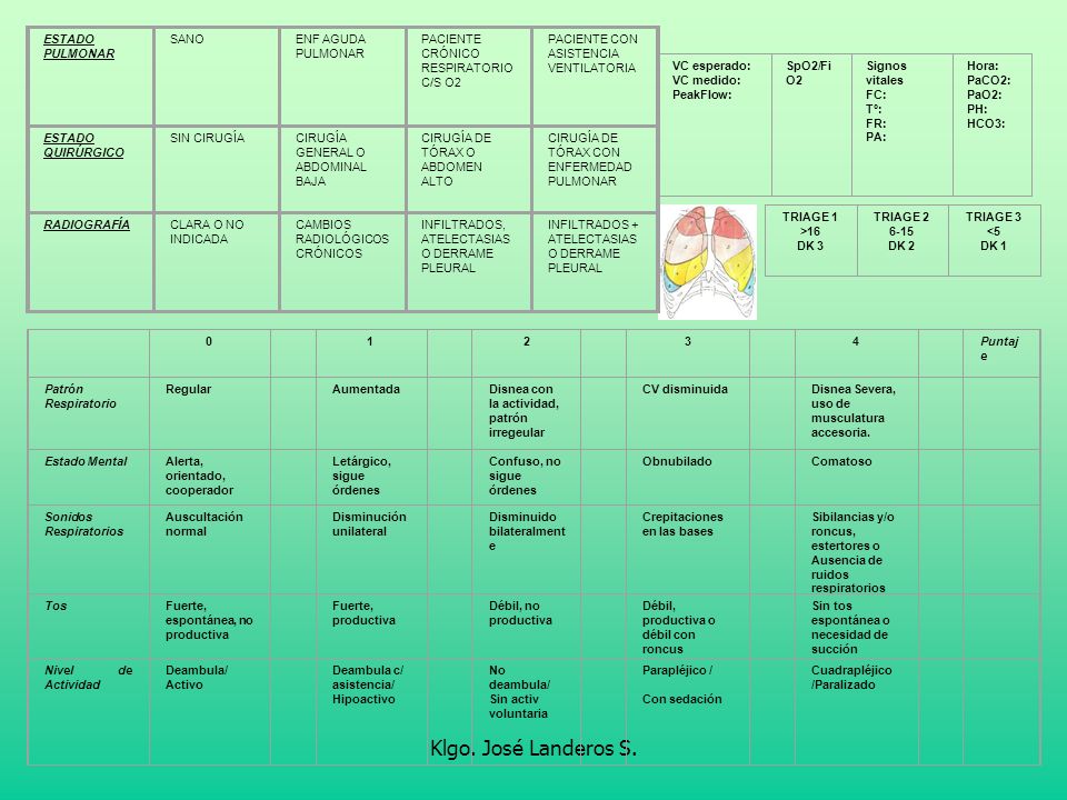 Klgo. José Landeros S. ESTADO PULMONAR SANO ENF AGUDA PULMONAR