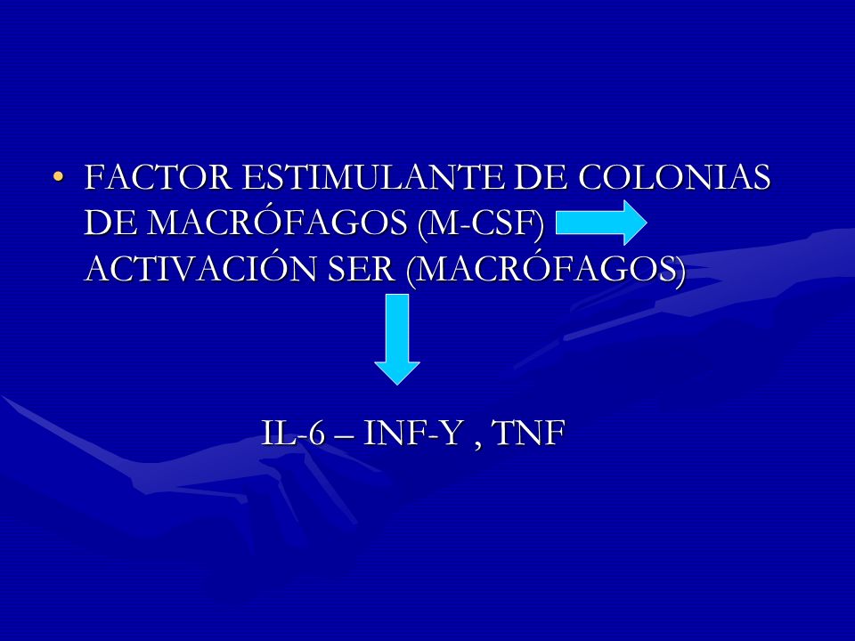 FACTOR ESTIMULANTE DE COLONIAS DE MACRÓFAGOS (M-CSF) ACTIVACIÓN SER (MACRÓFAGOS)