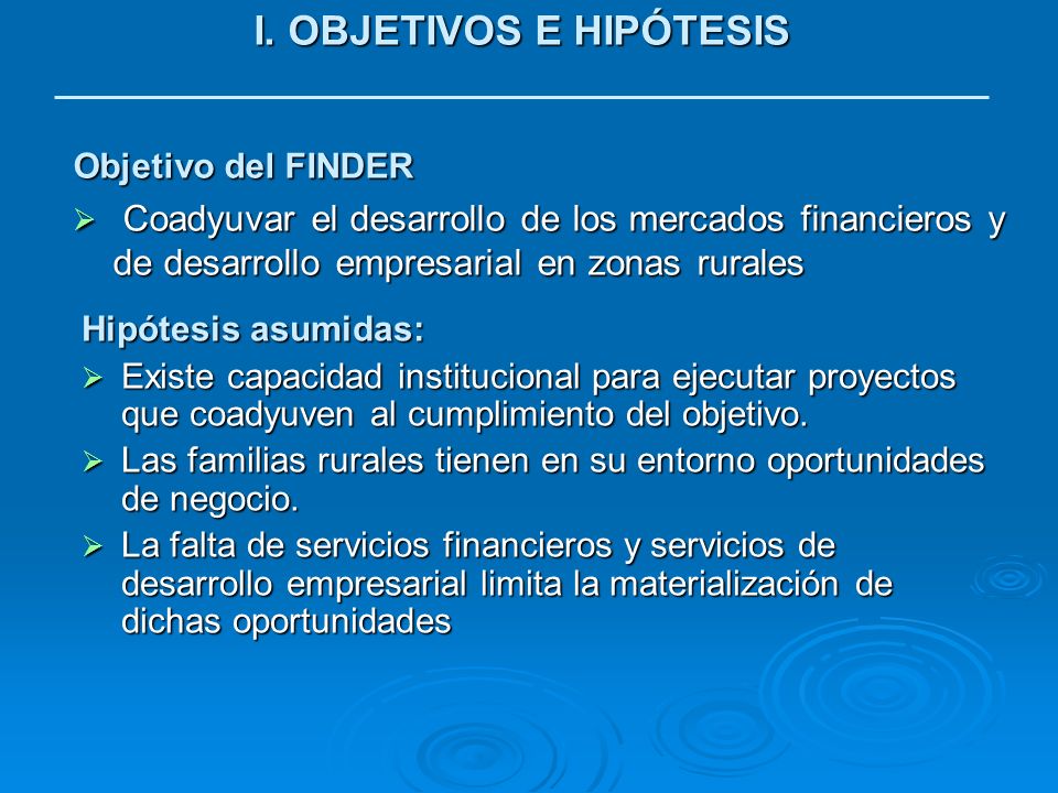 I. OBJETIVOS E HIPÓTESIS