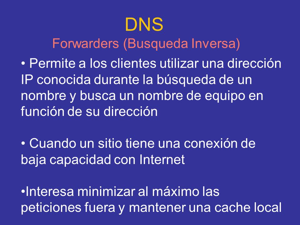 DNS Forwarders (Busqueda Inversa)