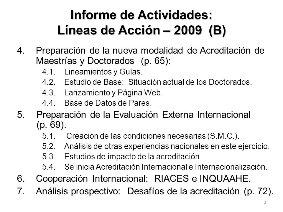 Informe de Actividades: Líneas de Acción – 2009 (B)