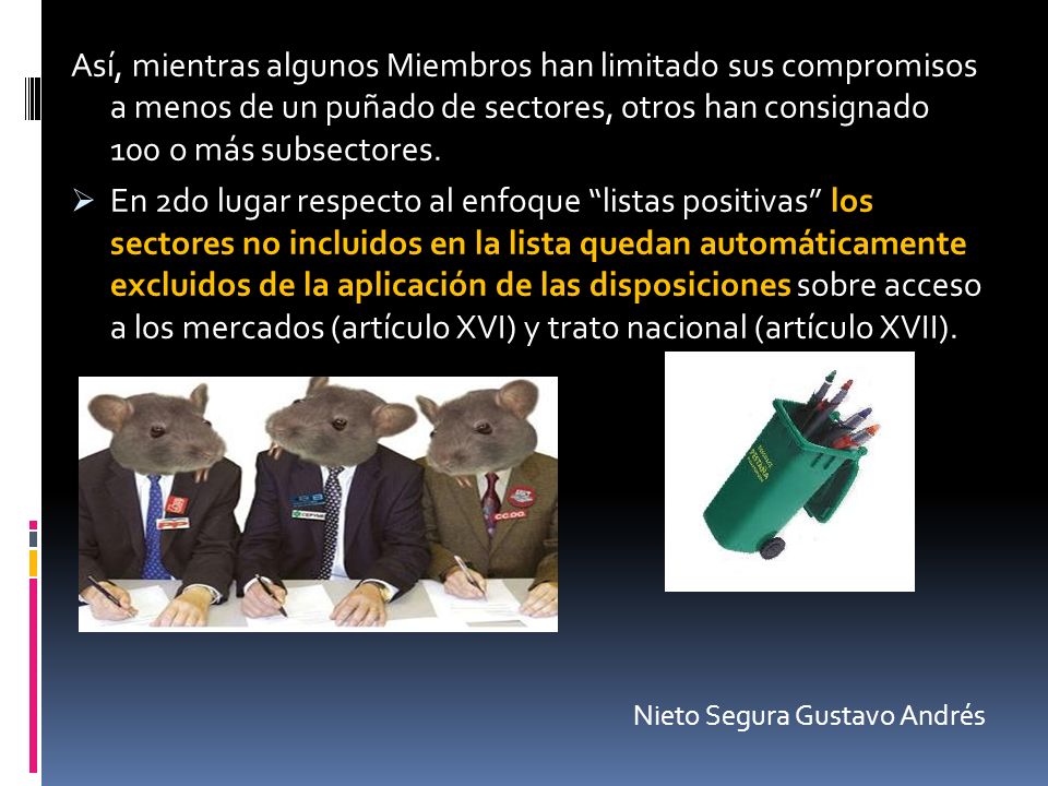 Así, mientras algunos Miembros han limitado sus compromisos a menos de un puñado de sectores, otros han consignado 100 o más subsectores.