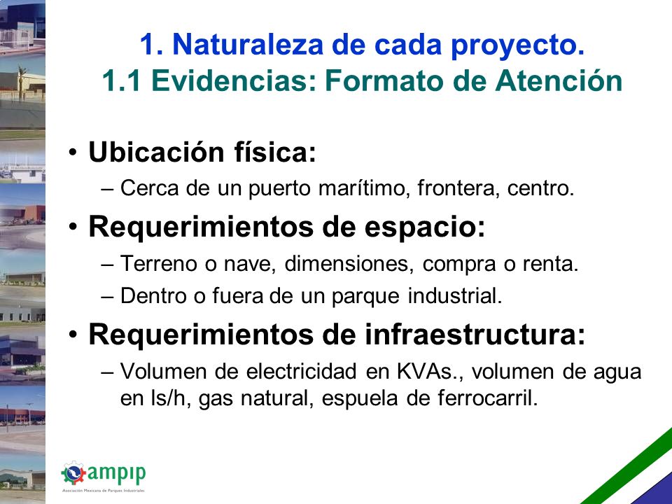 1. Naturaleza de cada proyecto. 1.1 Evidencias: Formato de Atención