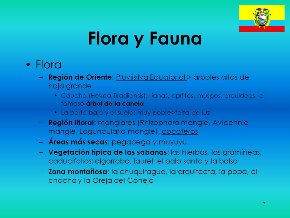 Flora y Fauna Flora. Región de Oriente: Pluviisilva Ecuatorial > árboles altos de hoja grande.